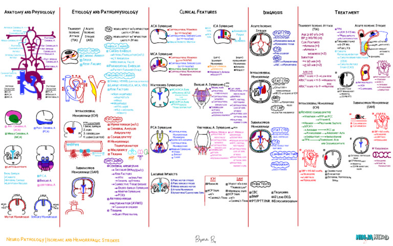 Ischemic & Hemorrhagic Strokes | PDF | Stroke | Ischemia