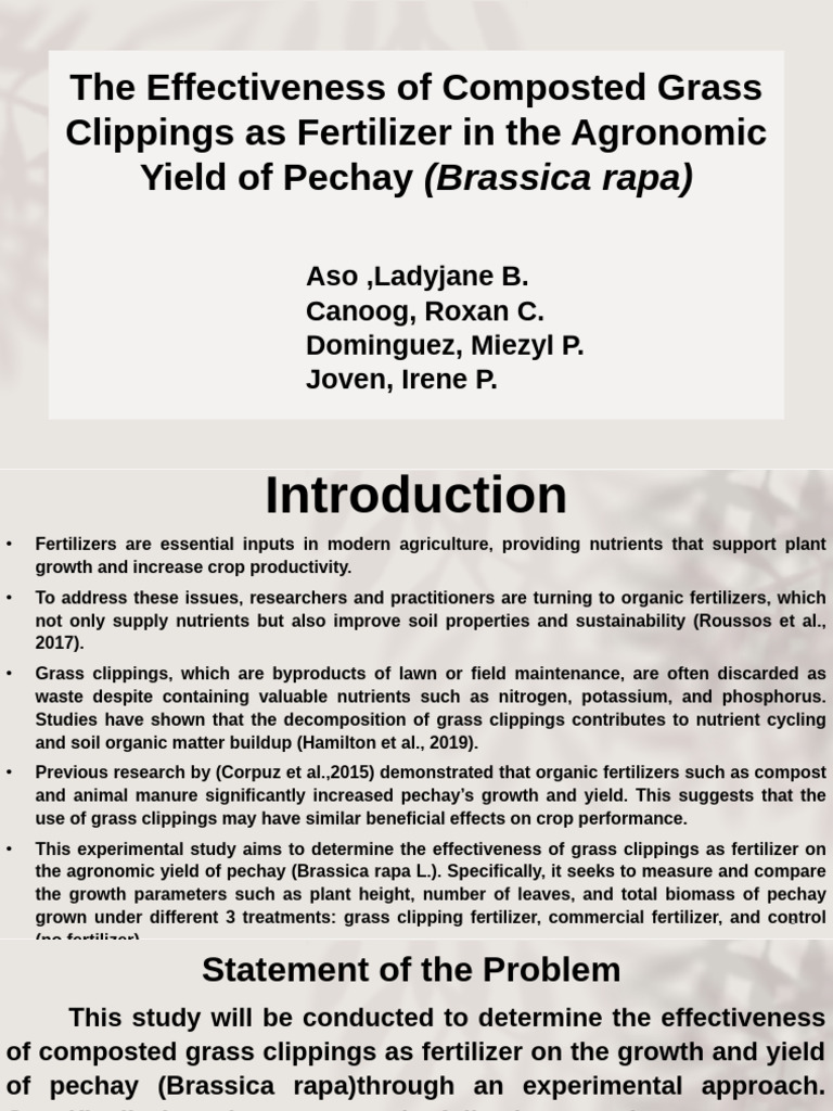 Composted Grass Clippings for Pechay Yield | PDF | Compost | Fertilizer