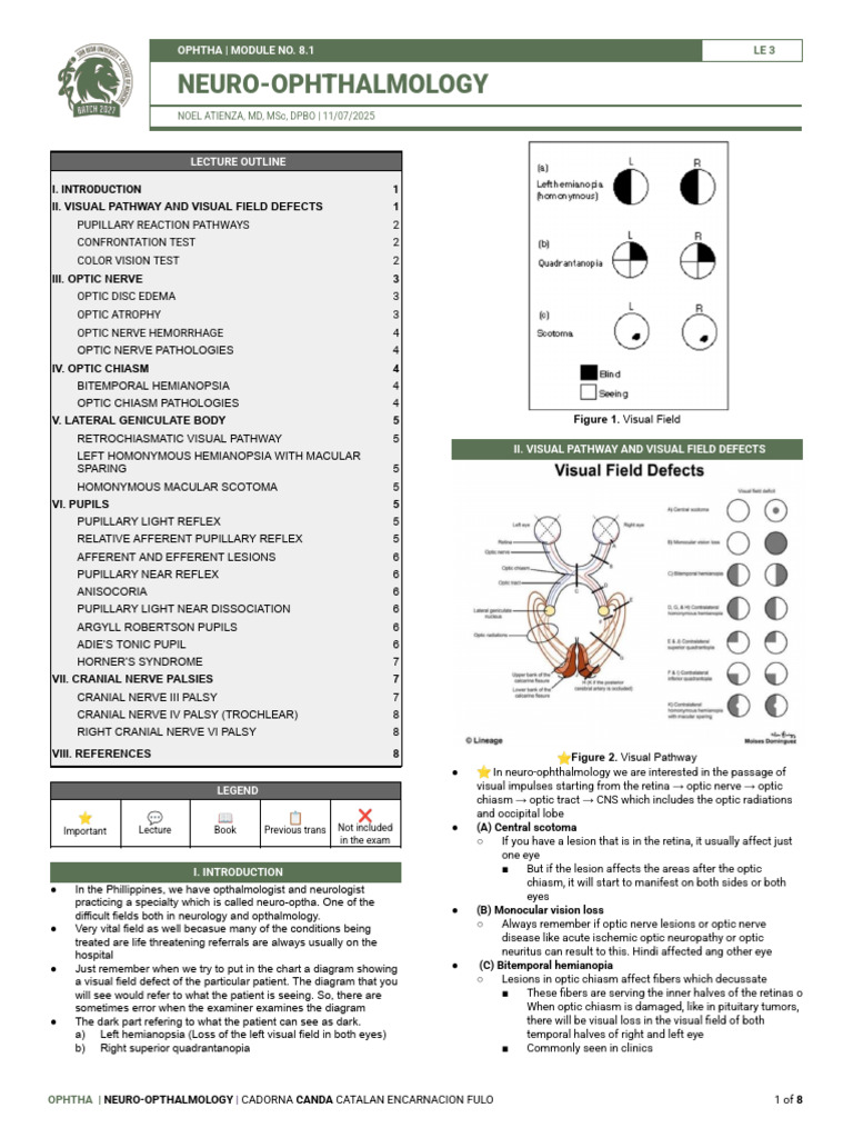 Neuro-Ophthalmology Lecture Overview | PDF | Visual System | Medical ...