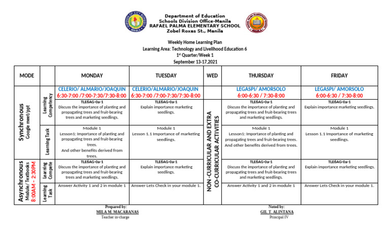 Weekly TLE Learning Plan for Grade 6 | PDF