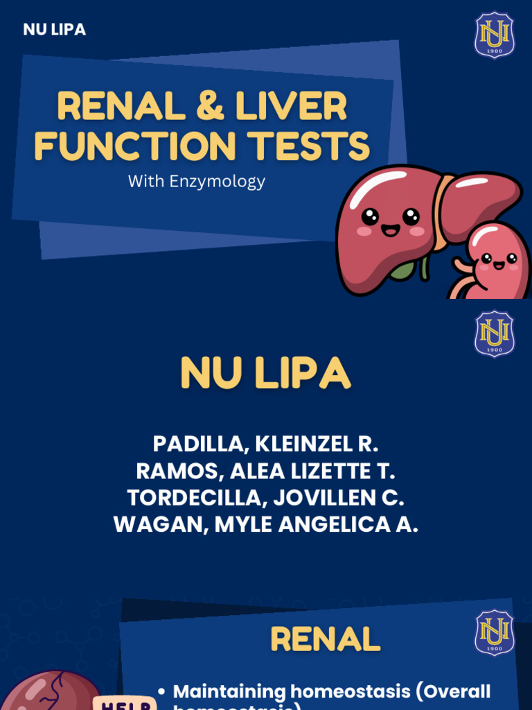 Renal and Liver Function Tests Guide | PDF | Kidney | Medical Specialties