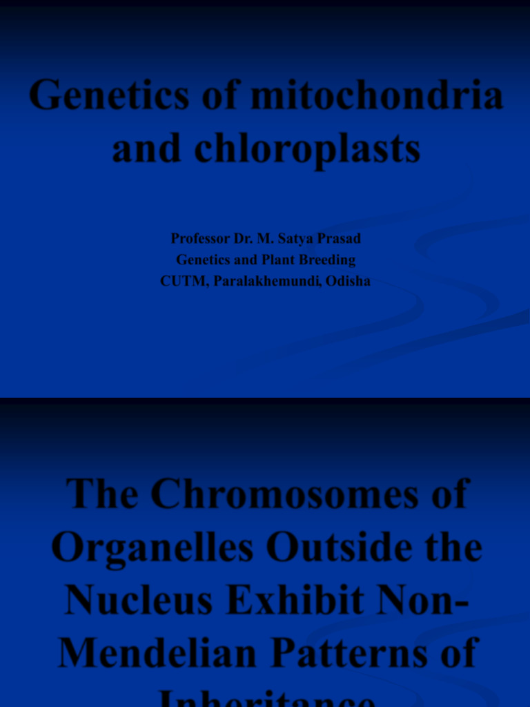 Mitochondrial and Chloroplast Genetics | PDF | Mitochondrial Dna ...