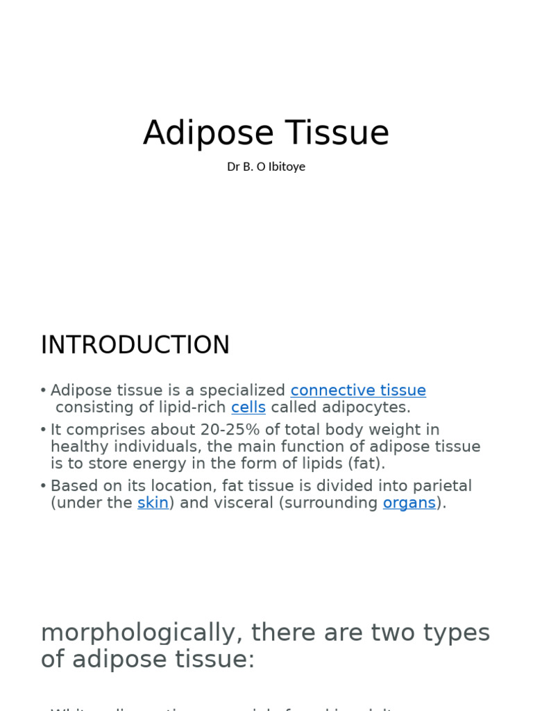 Adipose Tissue | PDF | Adipocyte | Adipose Tissue