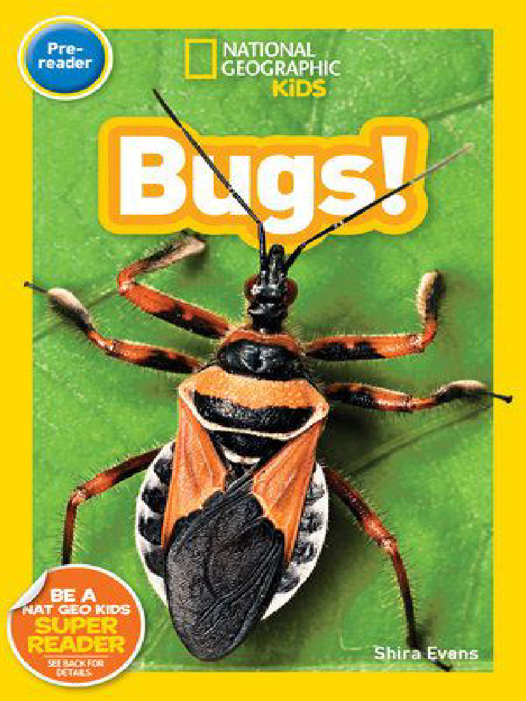 Bugs | PDF