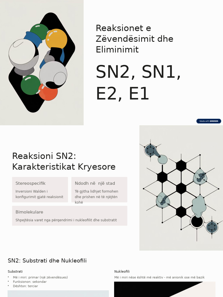 SN1 SN2 E1 E2-Bashke | PDF
