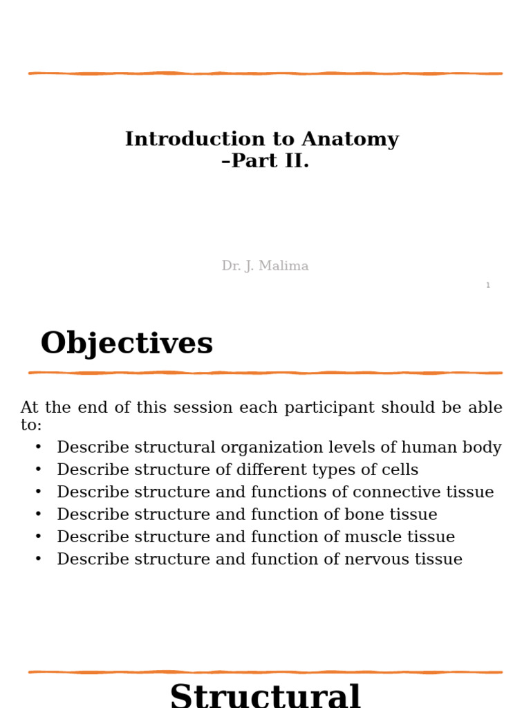 Human Body Structural Organization Overview | PDF | Connective Tissue ...