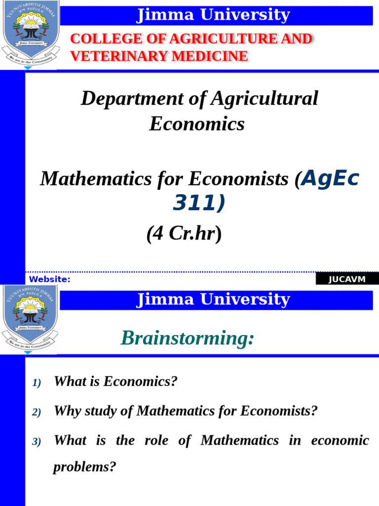 Mathematics for Agricultural Economists | PDF | Function (Mathematics ...
