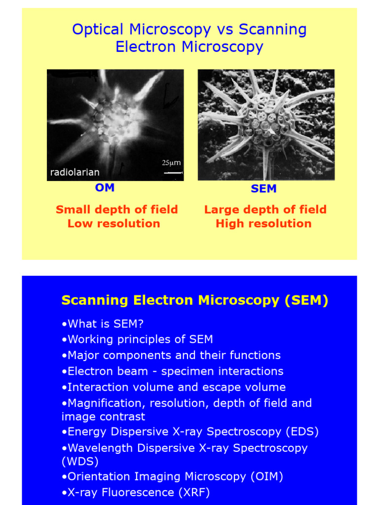 Lecture 7 | PDF | Scanning Electron Microscope | Microscope
