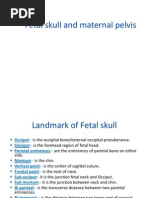 Download Fetal Skull and Maternal Pelvis by Ashwanee Jharia SN95667643 doc pdf