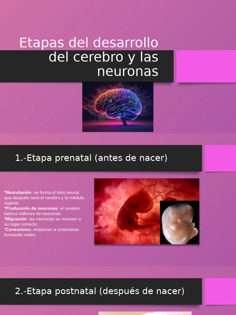 Juego De Laberinto De Madera Para Niños | Desarrollo De Motricidad Fina Y Coordinación Mano-ojo | Juguete Educativo Para Viajes