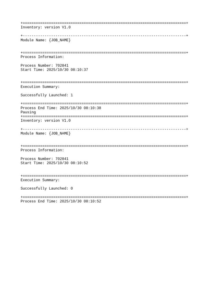 Job Execution Summary Report V1.0 | PDF