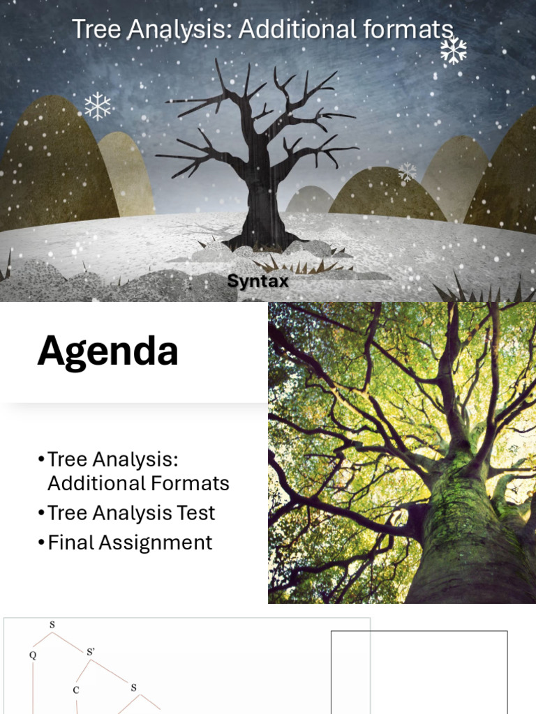 Tree Analysis Formats and Tests | PDF