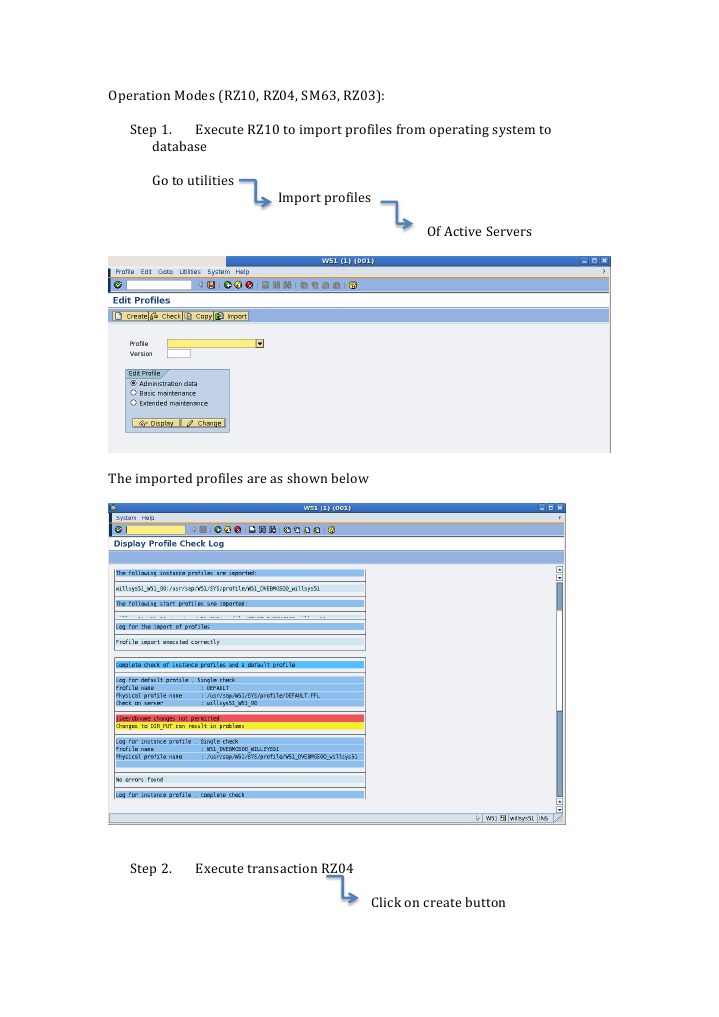 SAP Operation Modes Setup Guide | PDF