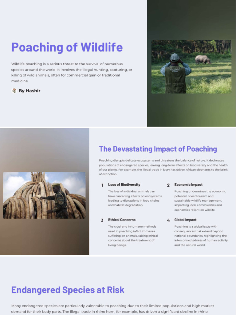 Poaching of Wildlife | PDF