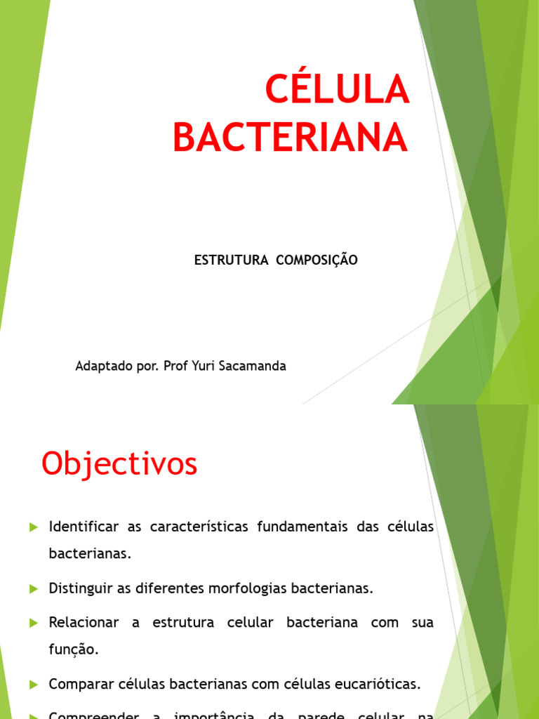 Estrutura e Morfologia da Célula Bacteriana | PDF | Célula (Biologia ...