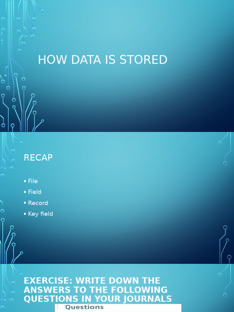 Understanding Database Management Systems | PDF | Databases | Computer File