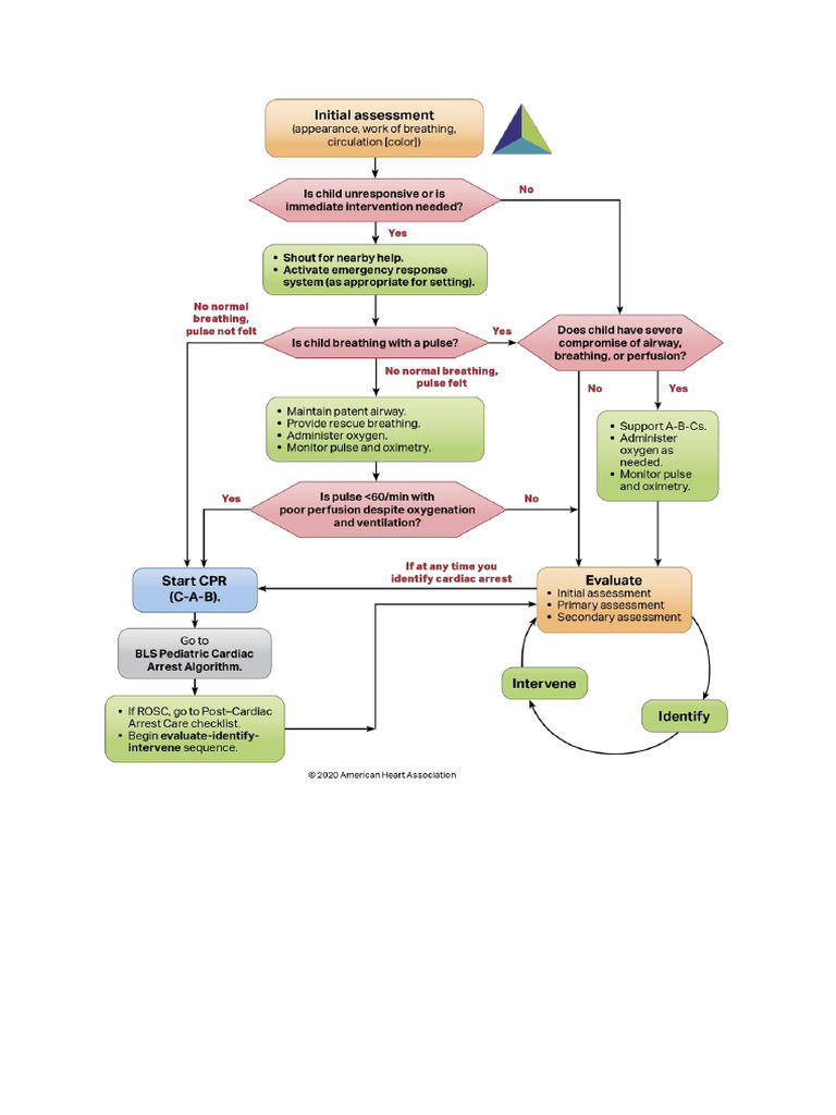 PALS Algorithms | PDF