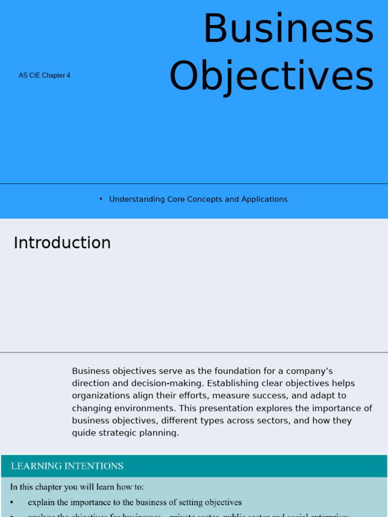 Understanding Business Objectives and Strategies | PDF | Business ...
