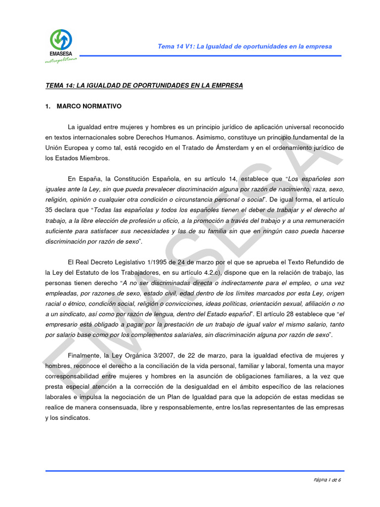 Tema 14. La Igualdad de Oportunidades en La Empresa | PDF | Estudios de ...
