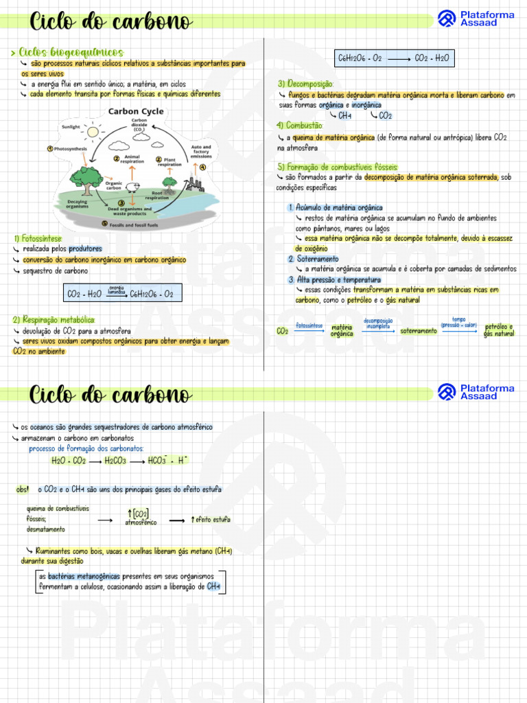 Mapa Mental - Ciclos Biogeoquímicos | PDF | Nitrogênio | Dióxido de carbono