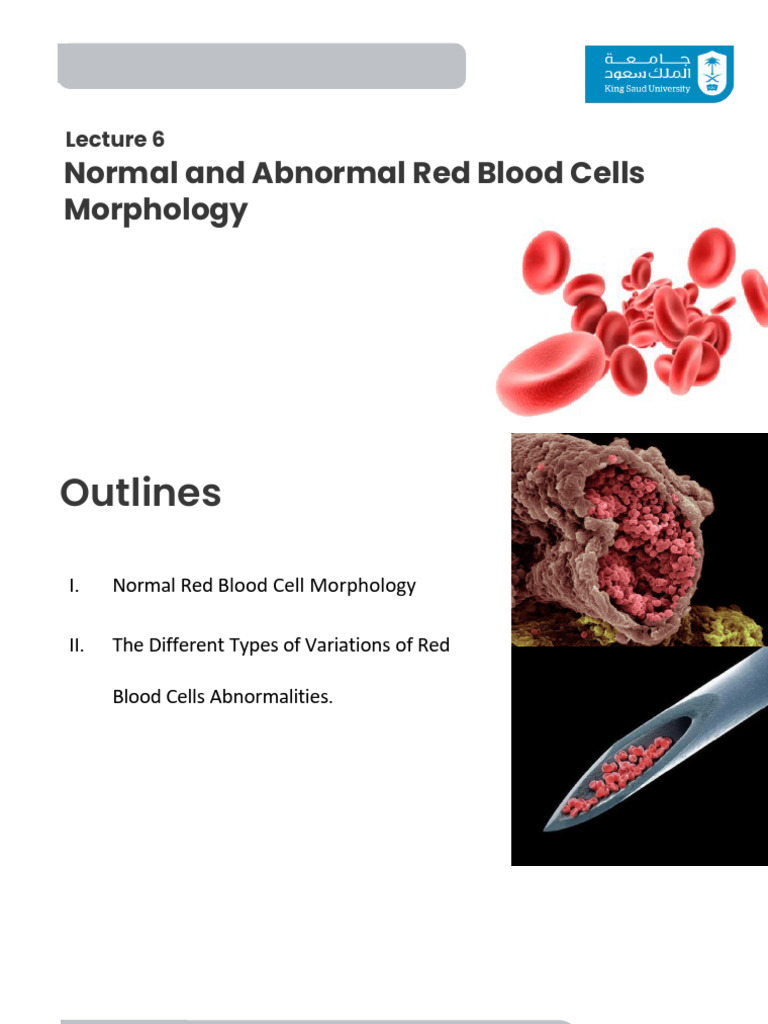 Red Blood Cell Morphology Guide | PDF | Anemia | Red Blood Cell