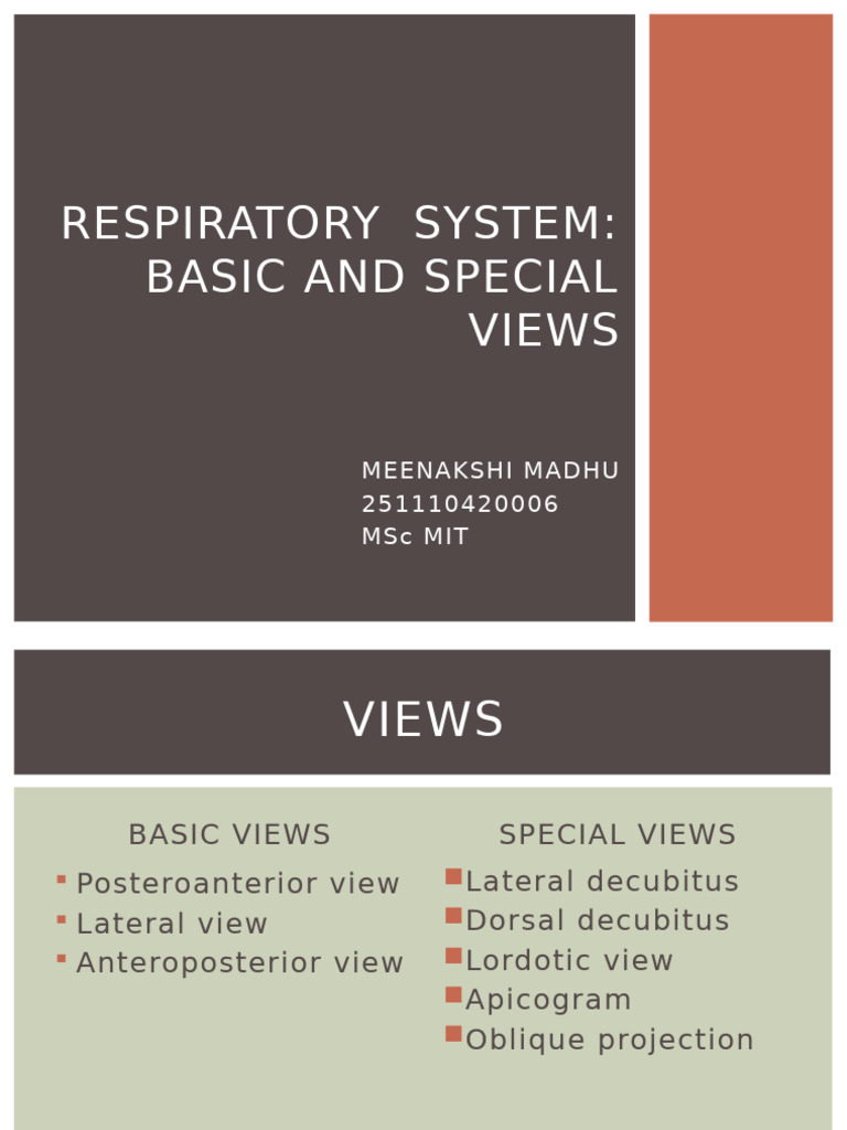 RespiratorY System Basic and Special Views | PDF | Respiratory Diseases ...