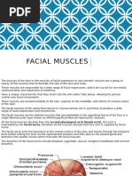Anatomy and Structure of Lips | PDF | Lip | Human Anatomy