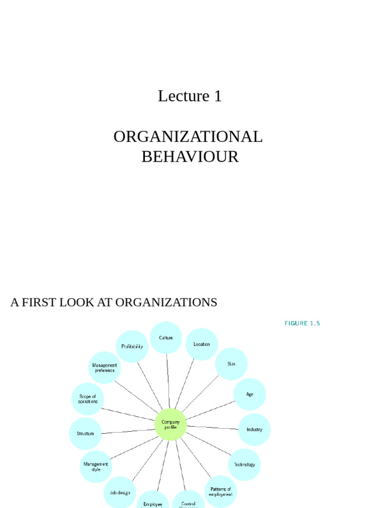 Week 2 Ob | PDF | Organizational Behavior | Behavior