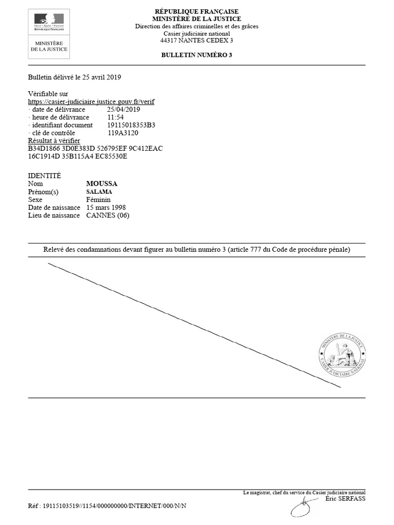 Bulletin numéro 3 du casier judiciaire | PDF