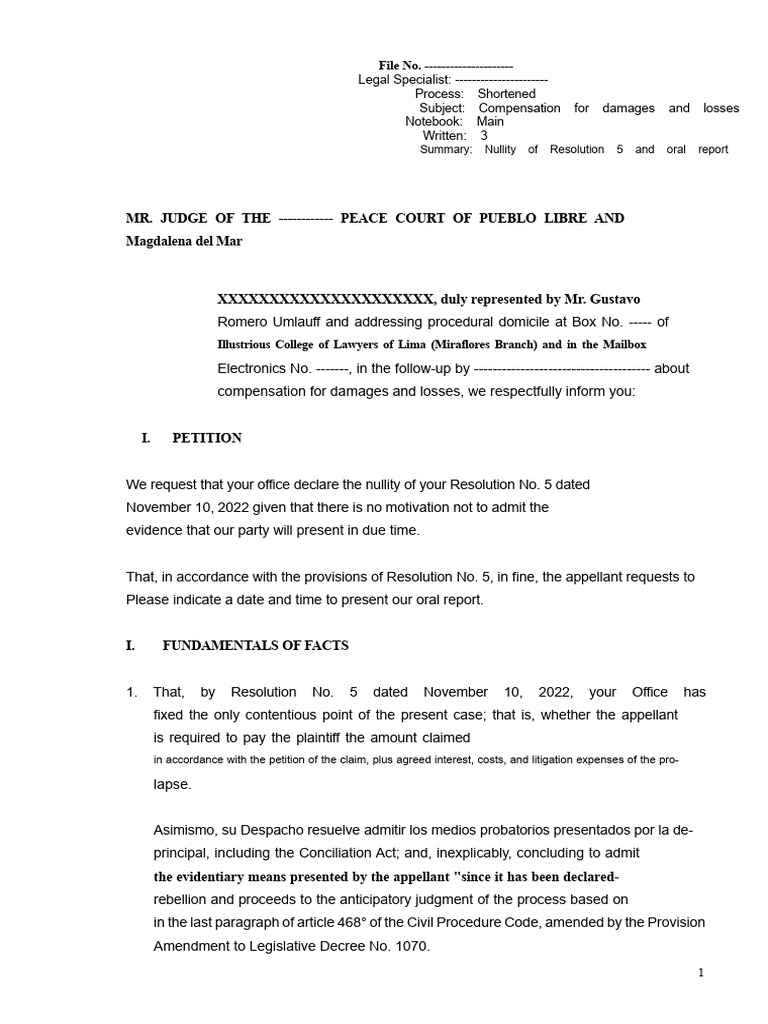 Model of Document On The Nullity of A Judicial Resolution | PDF ...