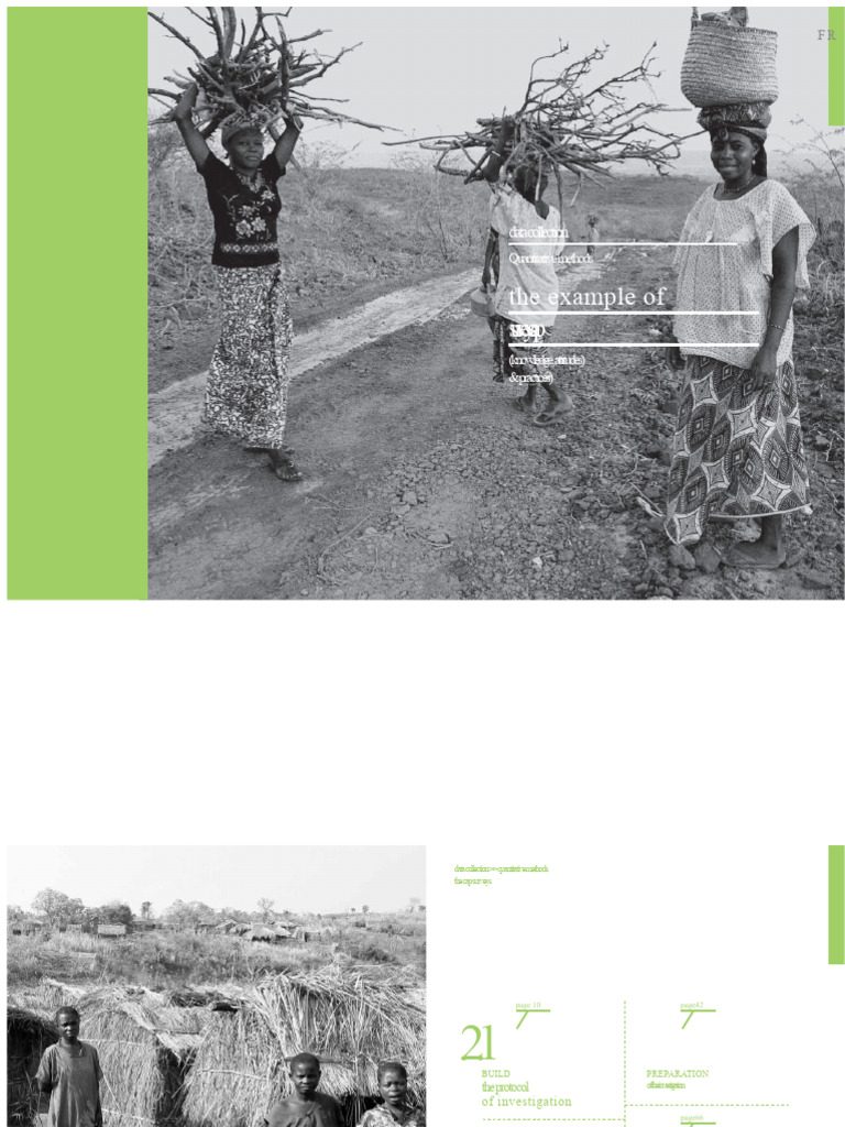 CAP Surveys: Methods & Insights | PDF | Survey Methodology | Methodology