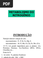Metabolismo e Fixacao Do Nitrogenio