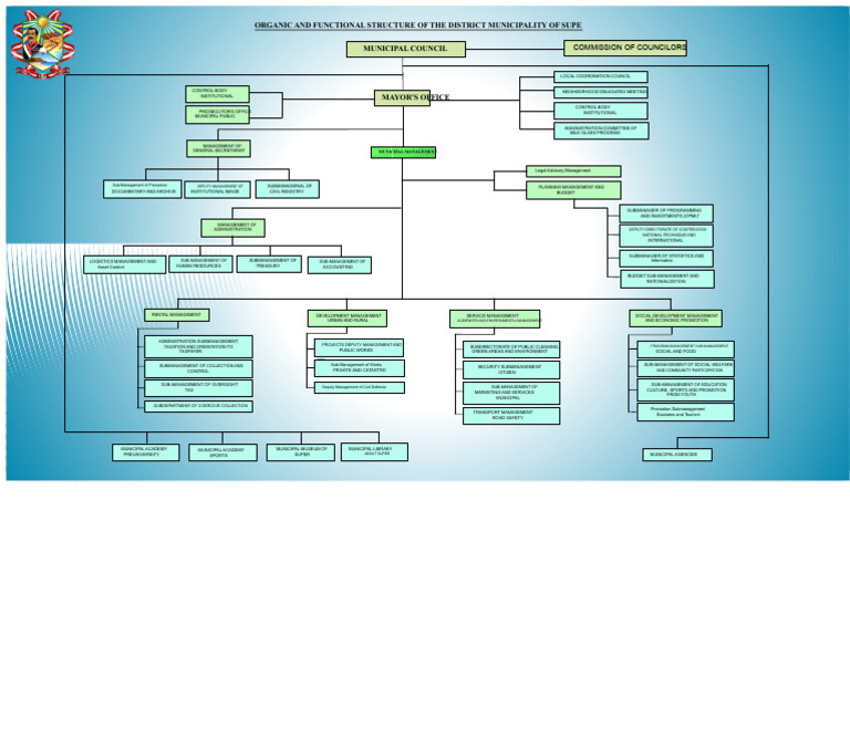 Supe Municipality Organizational Structure | PDF | Taxes | Economies