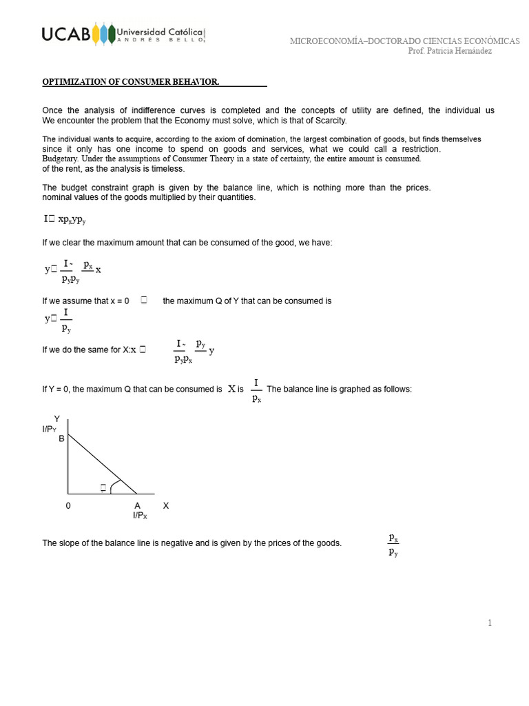 Consumer Behavior Optimization in Economics | PDF | Utility | Economics