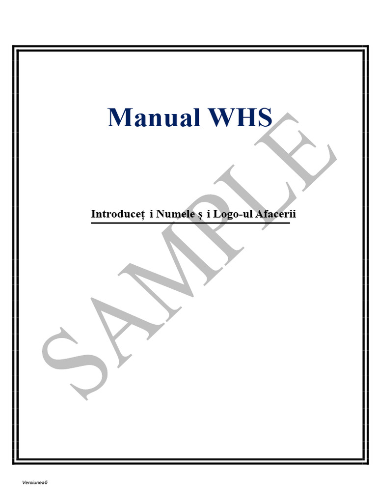 Manual de SSM Exemplu | PDF