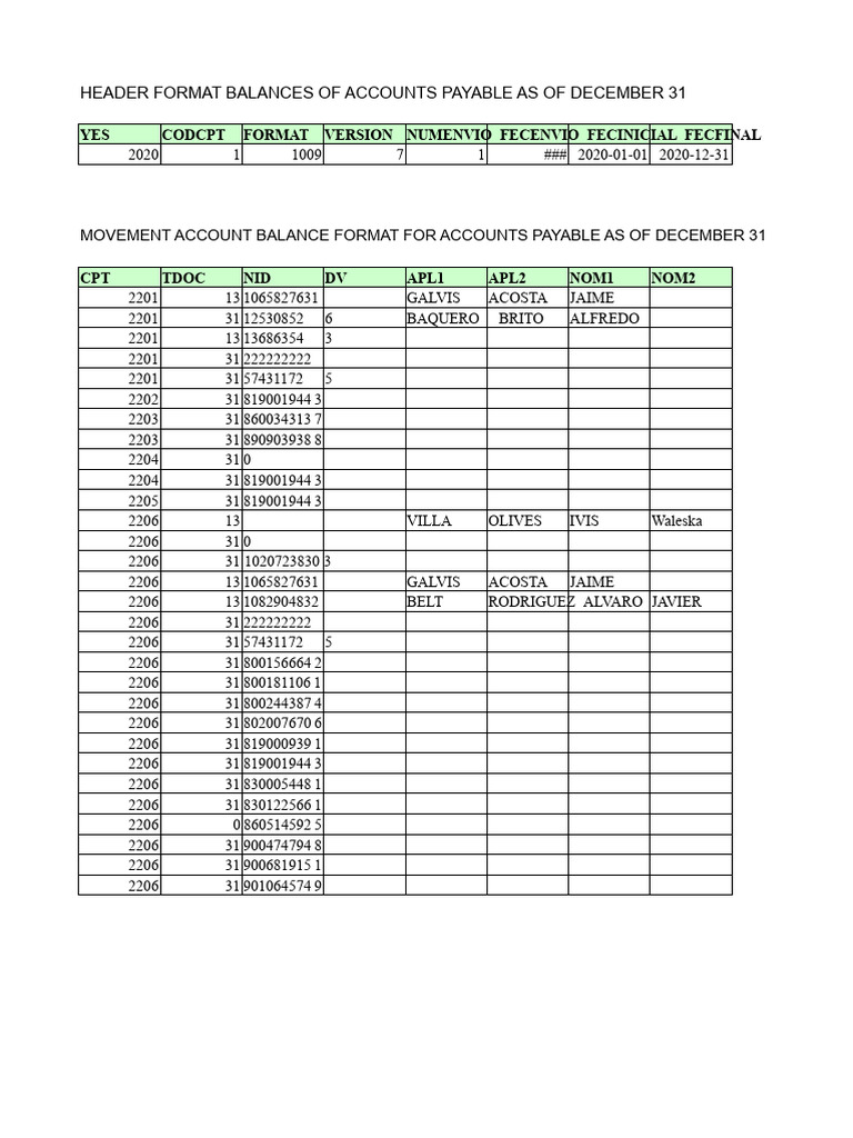 Accounts Payable Balance Report 2020 | PDF | Accounts Payable | Accounting