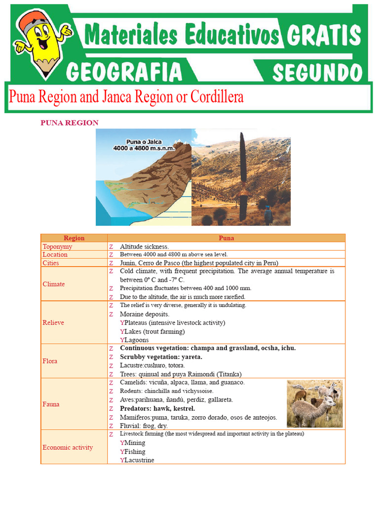 Puna and Janca Regions Overview | PDF | Physical Geography | Earth Sciences