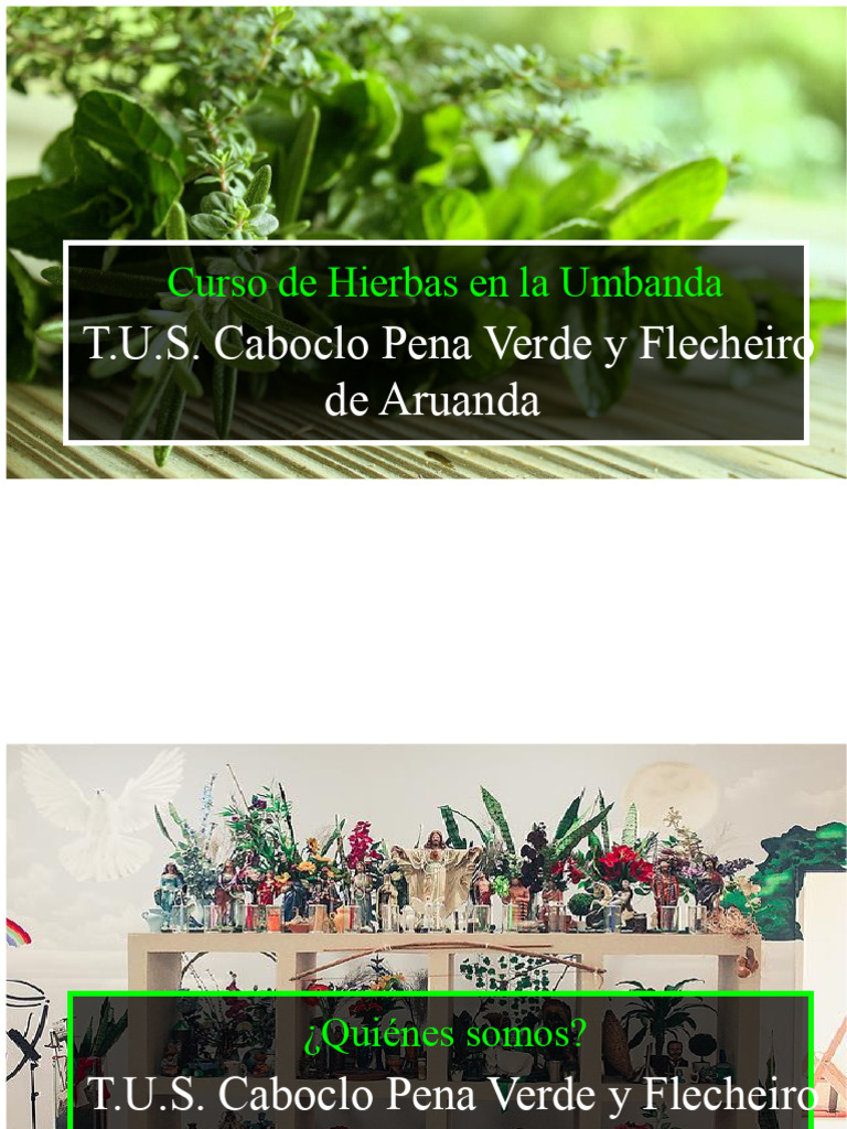 Curso de Hierbas - PDF | PDF
