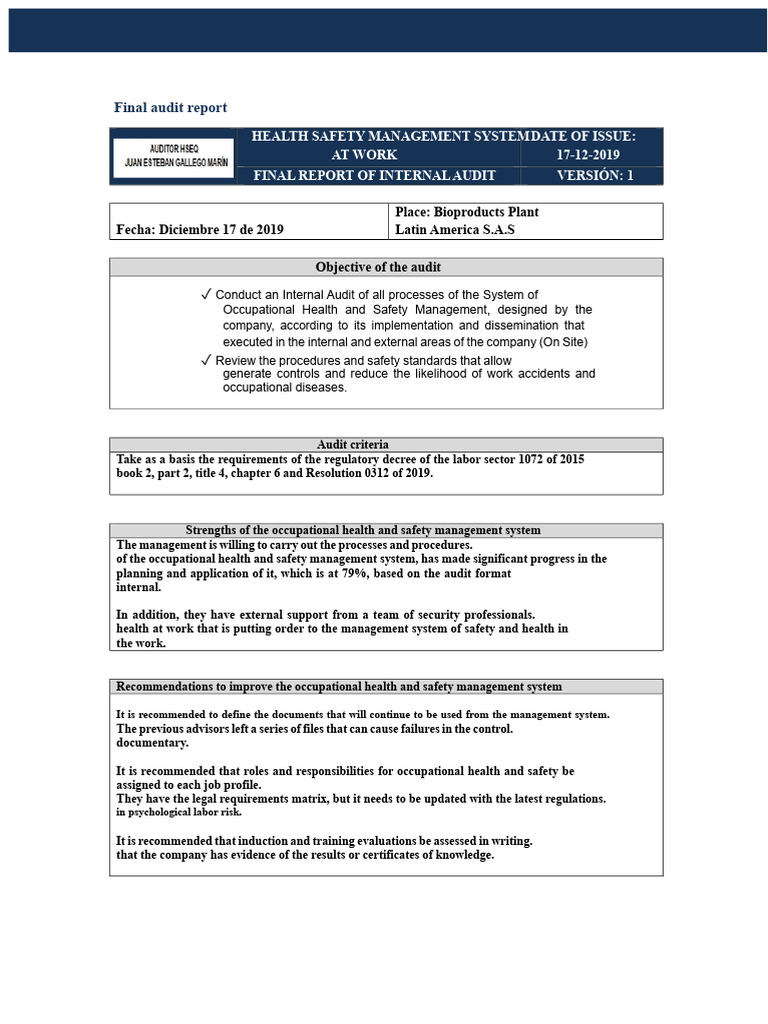 Audit Report | PDF | Occupational Safety And Health | Audit