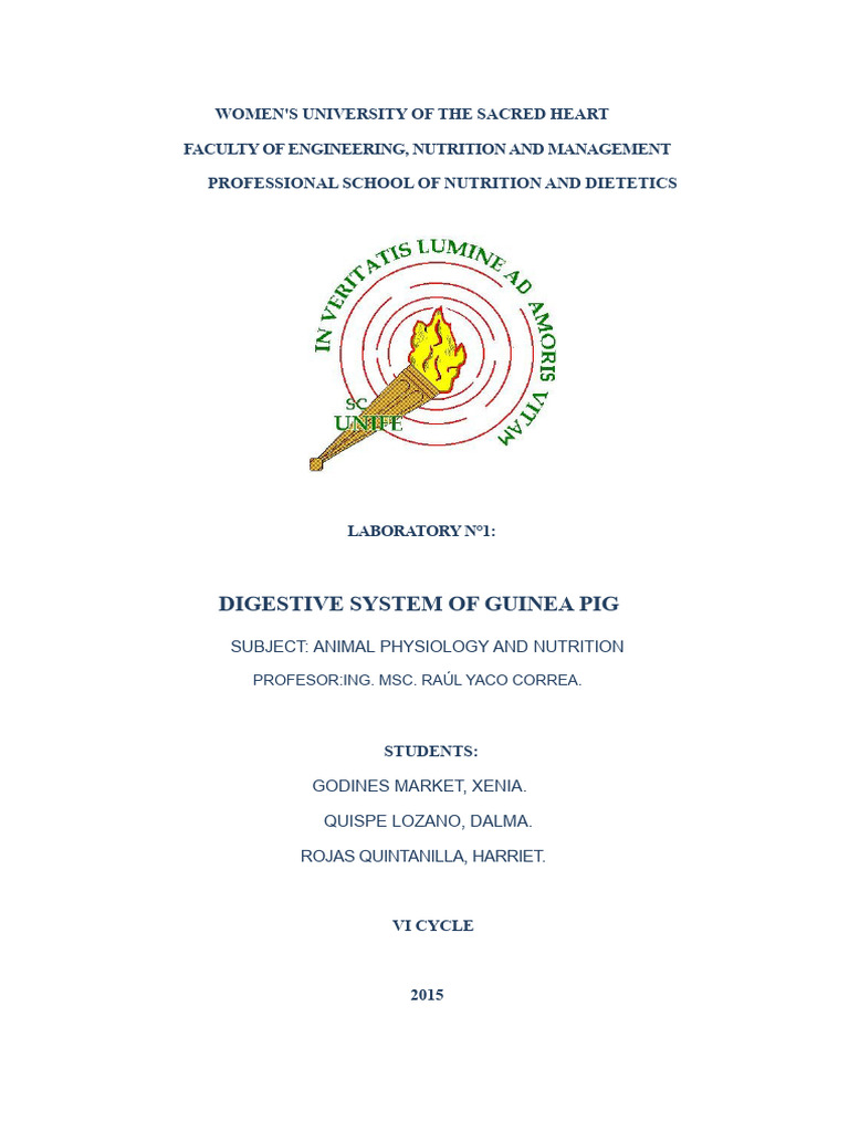 Guinea Pig Digestive System Analysis | PDF | Digestion ...