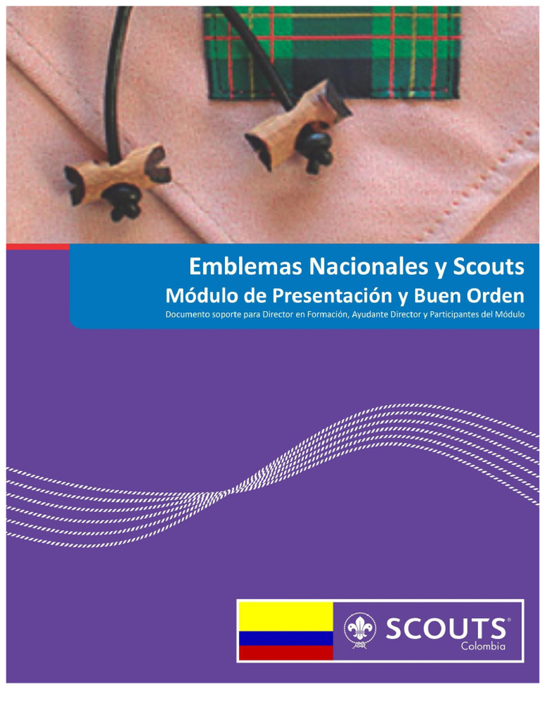 Scout Emblems and Protocol Guide | PDF | Flag