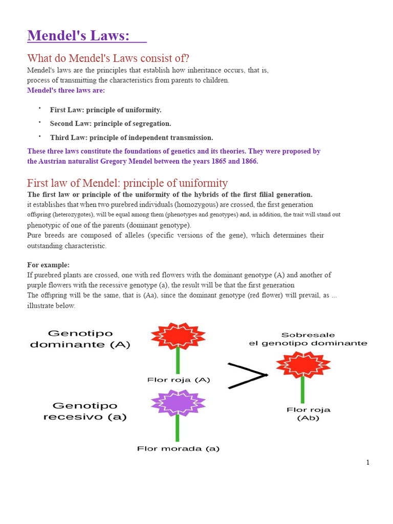 Reading-Mendel's Laws | PDF | Dominance (Genetics) | Genotype