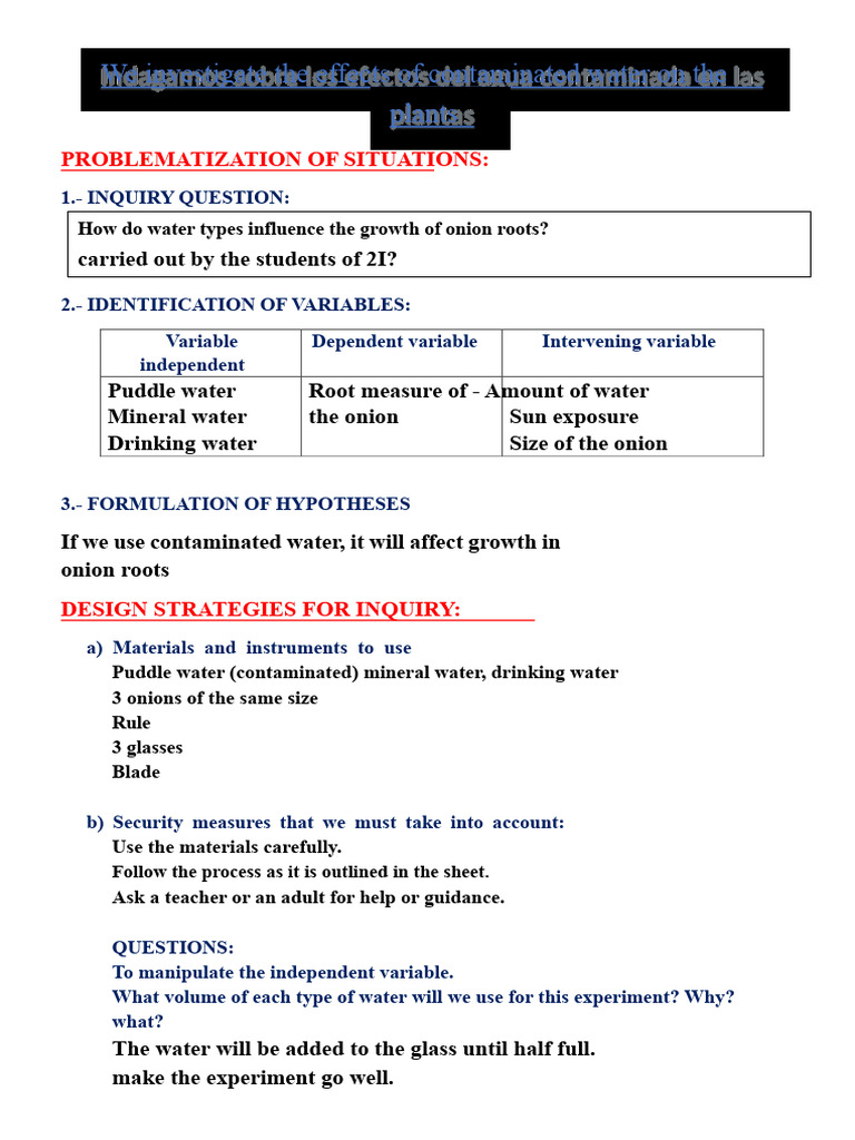 Assignment We Investigate The Effects of Water | PDF | Experiment | Water