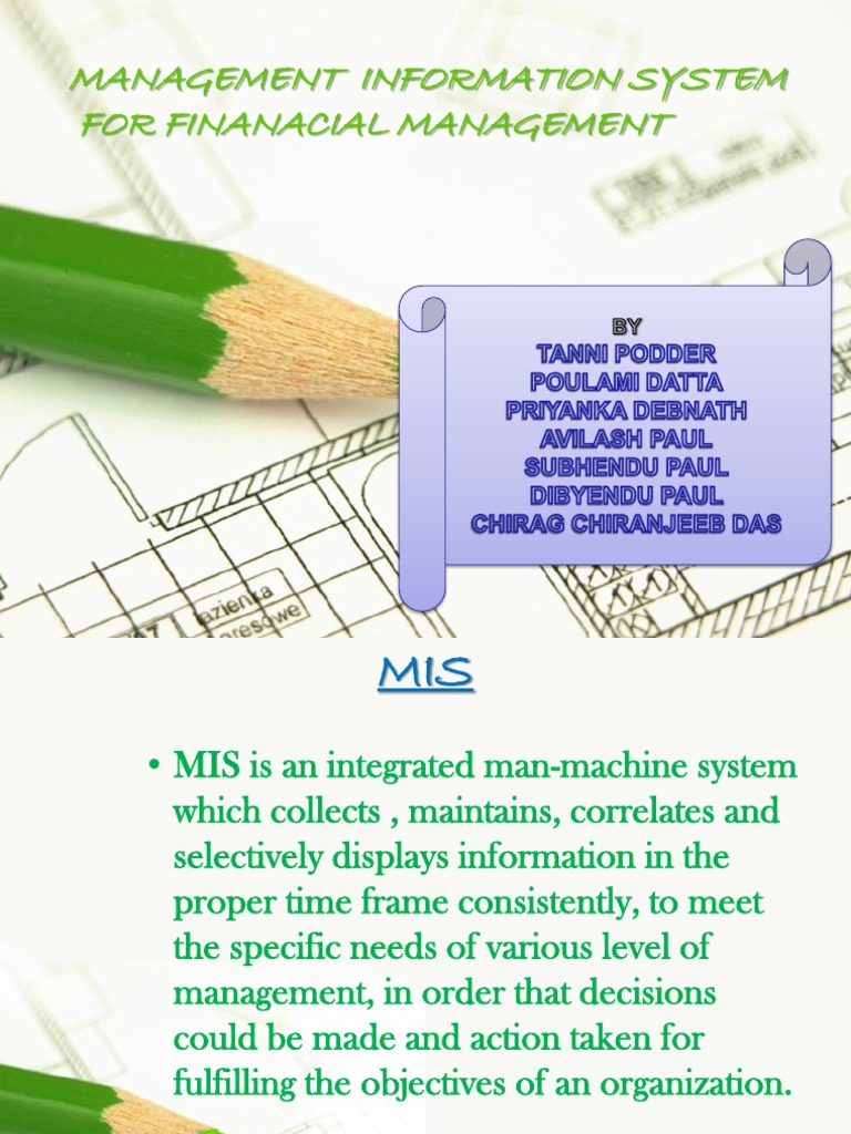 Financial Management Information System | PDF | Decision Support System ...