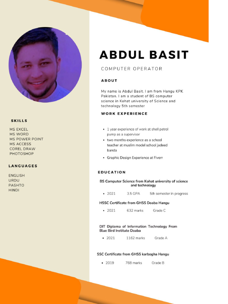 My CV | PDF