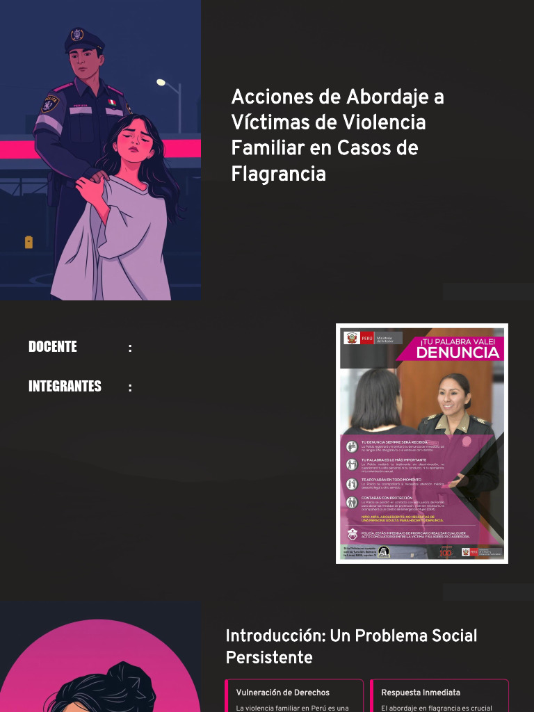 PPT Acciones de Abordaje a Victimas de Violencia Familiar en Casos de ...