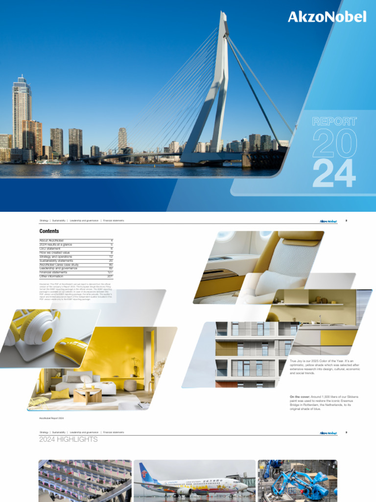 AkzoNobel Annual Report 2024 | PDF | Taxes | Working Capital