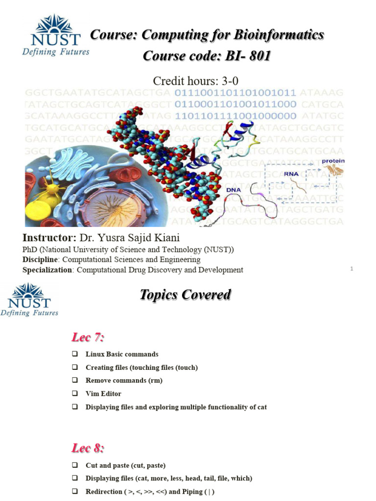 CBI Lec8 Fall2025 | PDF | Command Line Interface | Computer Architecture