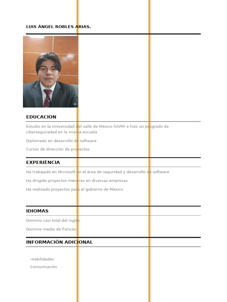 Perfil Profesional de Luis Ángel Robles | PDF