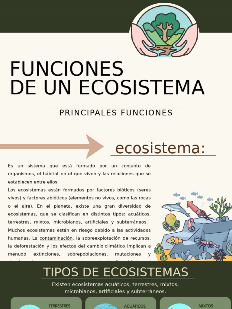 Funciones y Tipos de Ecosistemas | PDF | Ecosistema | Ecología